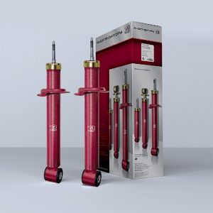 Амортизатор задней подвески ЭМ-89.00.000-01 для а/м ВАЗ 2190 (2190-2915004)