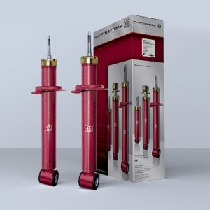Амортизатор задней подвески ЭМ-34.00.000-01 для а/м ВАЗ 2170 (21700-2915004)