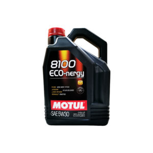 Моторное масло "MOTUL 810 ECO-nergy" 5W-30 синтетика 5 л